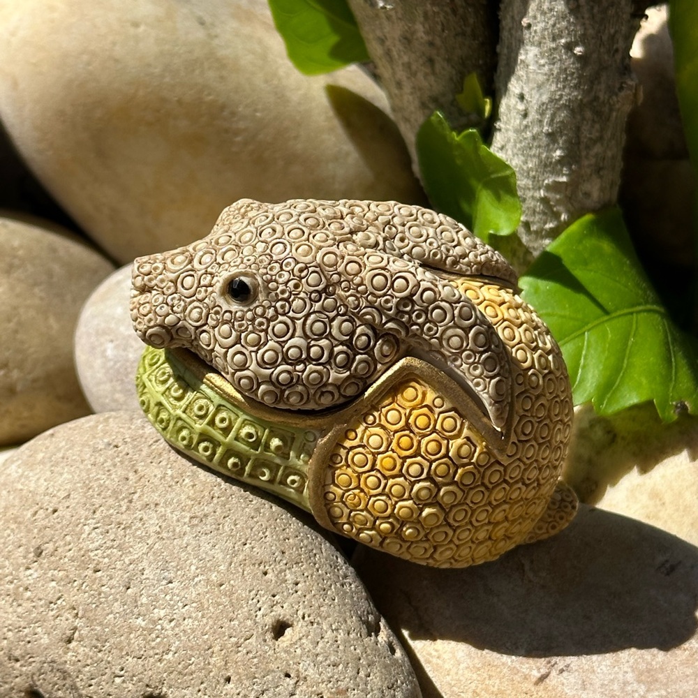 Limited Edition Chiffon 🐰 Rabbit Treasure Jest